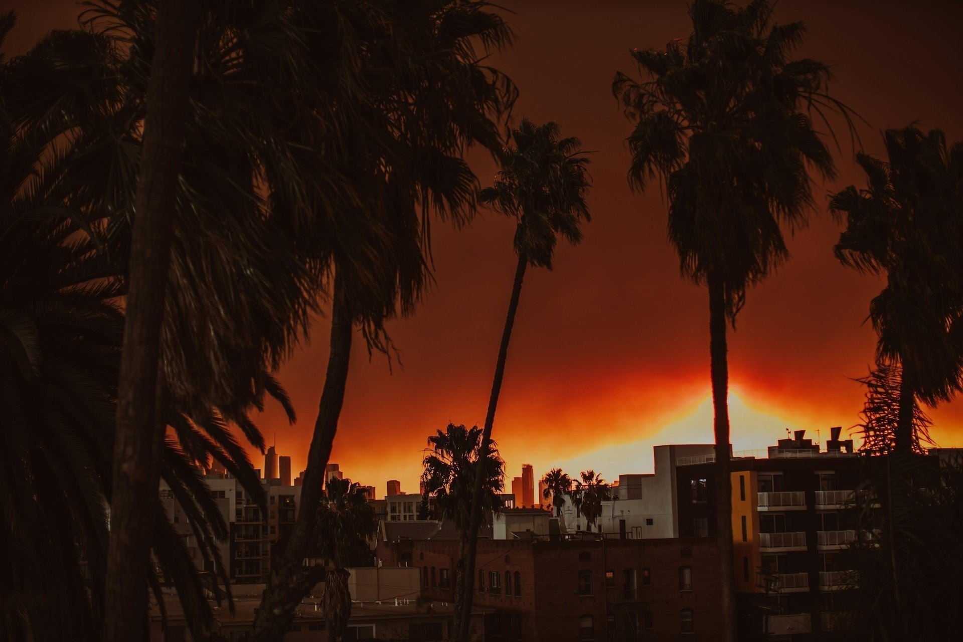 When the Fire Moves In, So Do the Thieves: Asset Protection During Evacuations