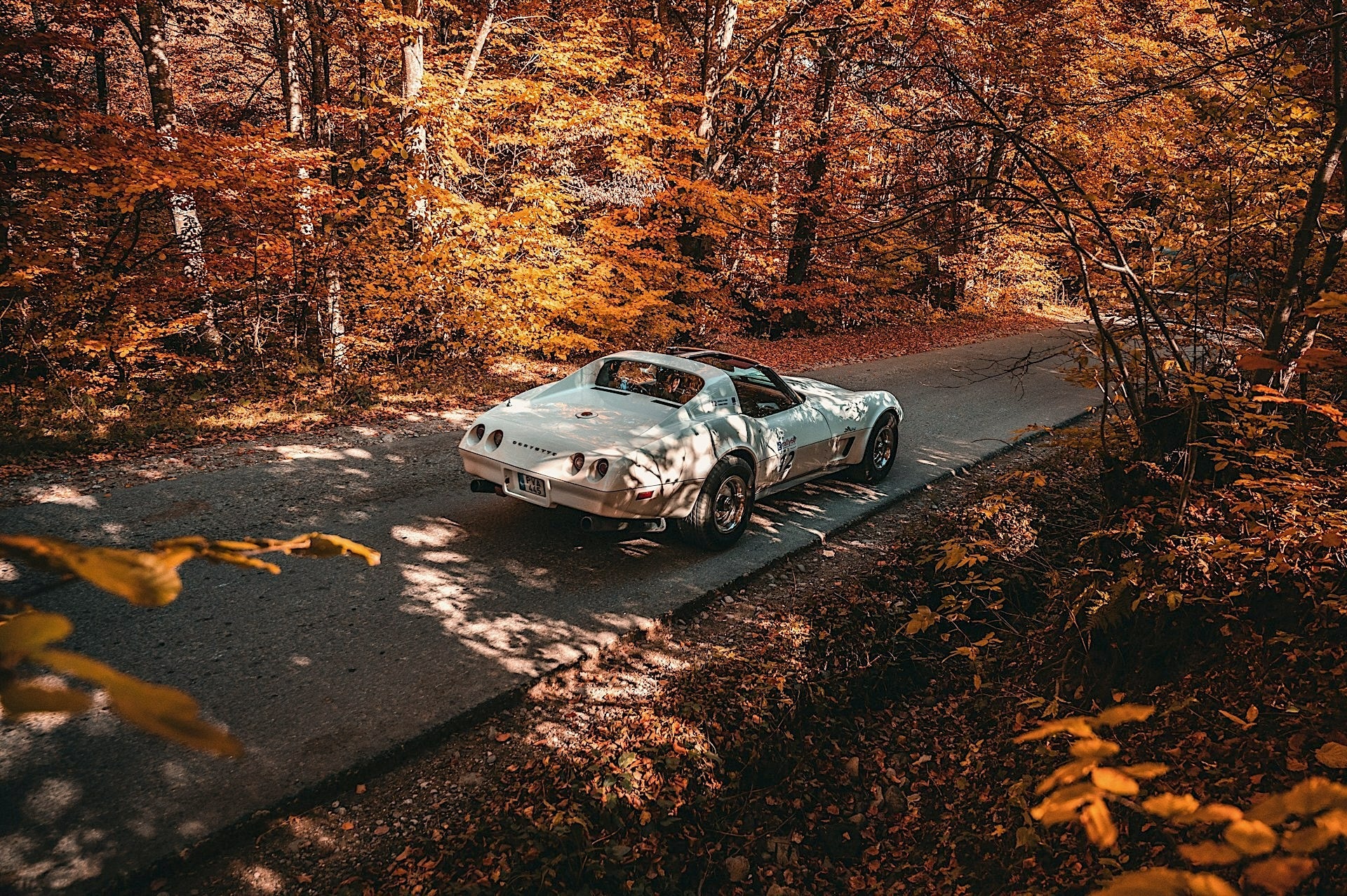 Rear view of a white vintage Corvette cruising a narrow road surrounded by golden fall leaves, evoking seasonal transition and collector car care